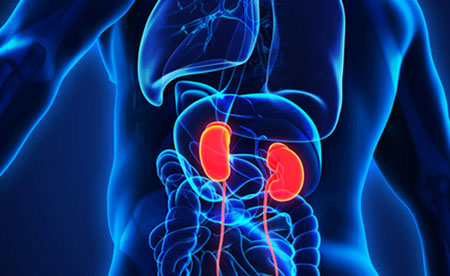 Nephrology & Dialysis/ Urology & Kidney Transplant